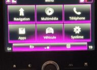 RENAULT SCENIC IV BLUE DCI 120 BUSINESS