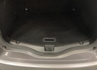 RENAULT SCENIC IV BLUE DCI 120 BUSINESS