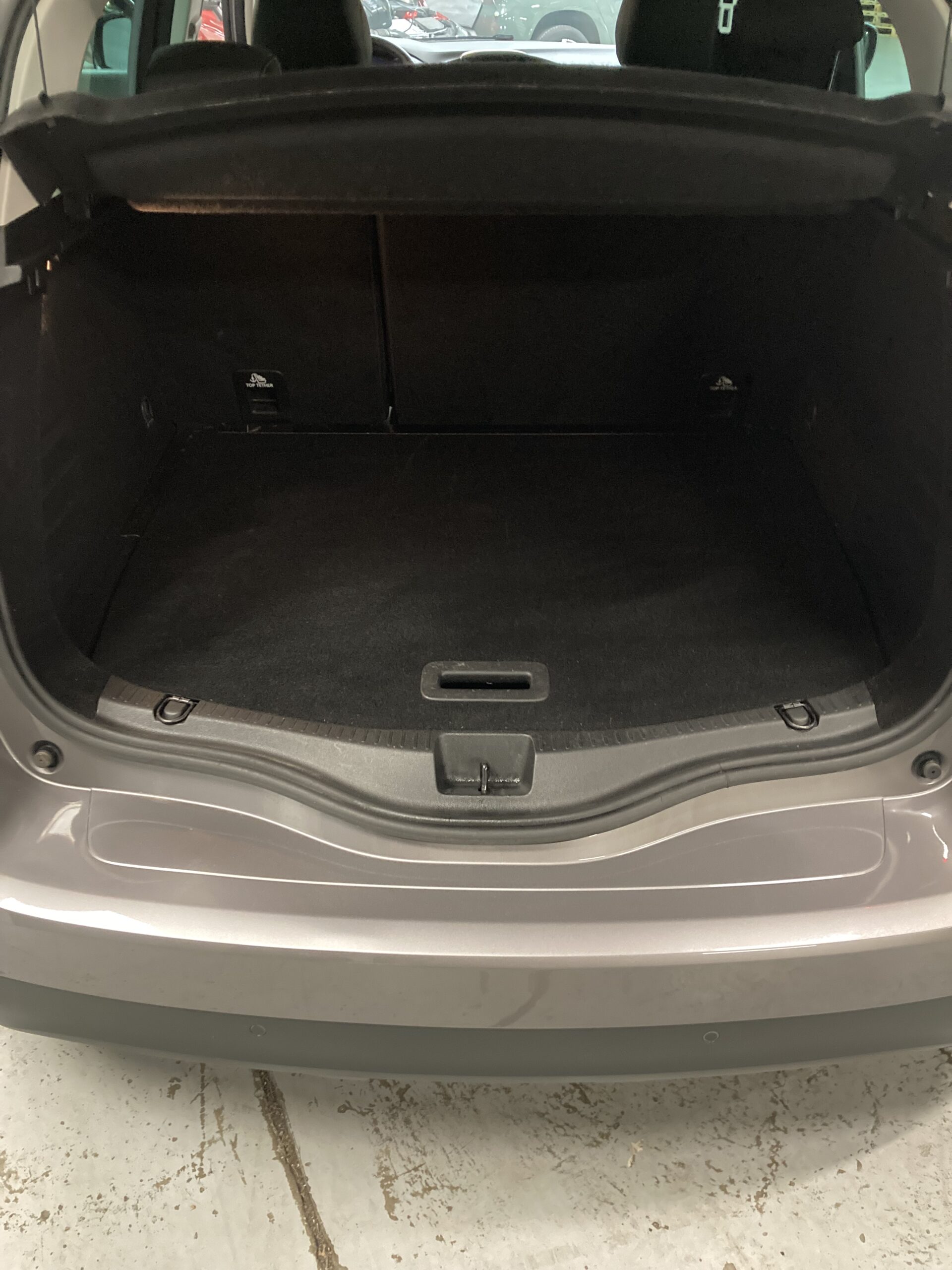 RENAULT SCENIC IV BLUE DCI 120 BUSINESS