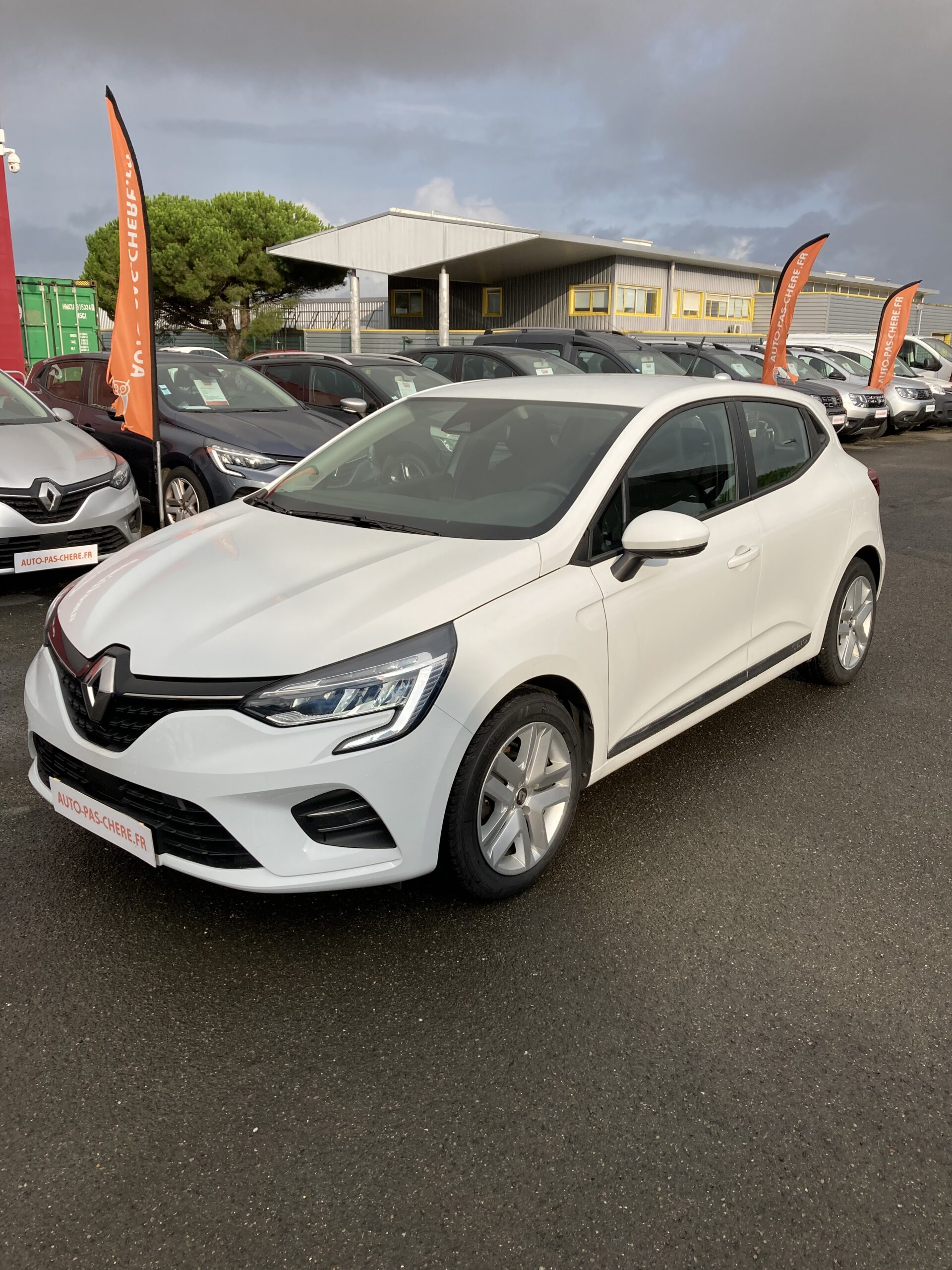 RENAULT CLIO V TCE 100 BUSINESS