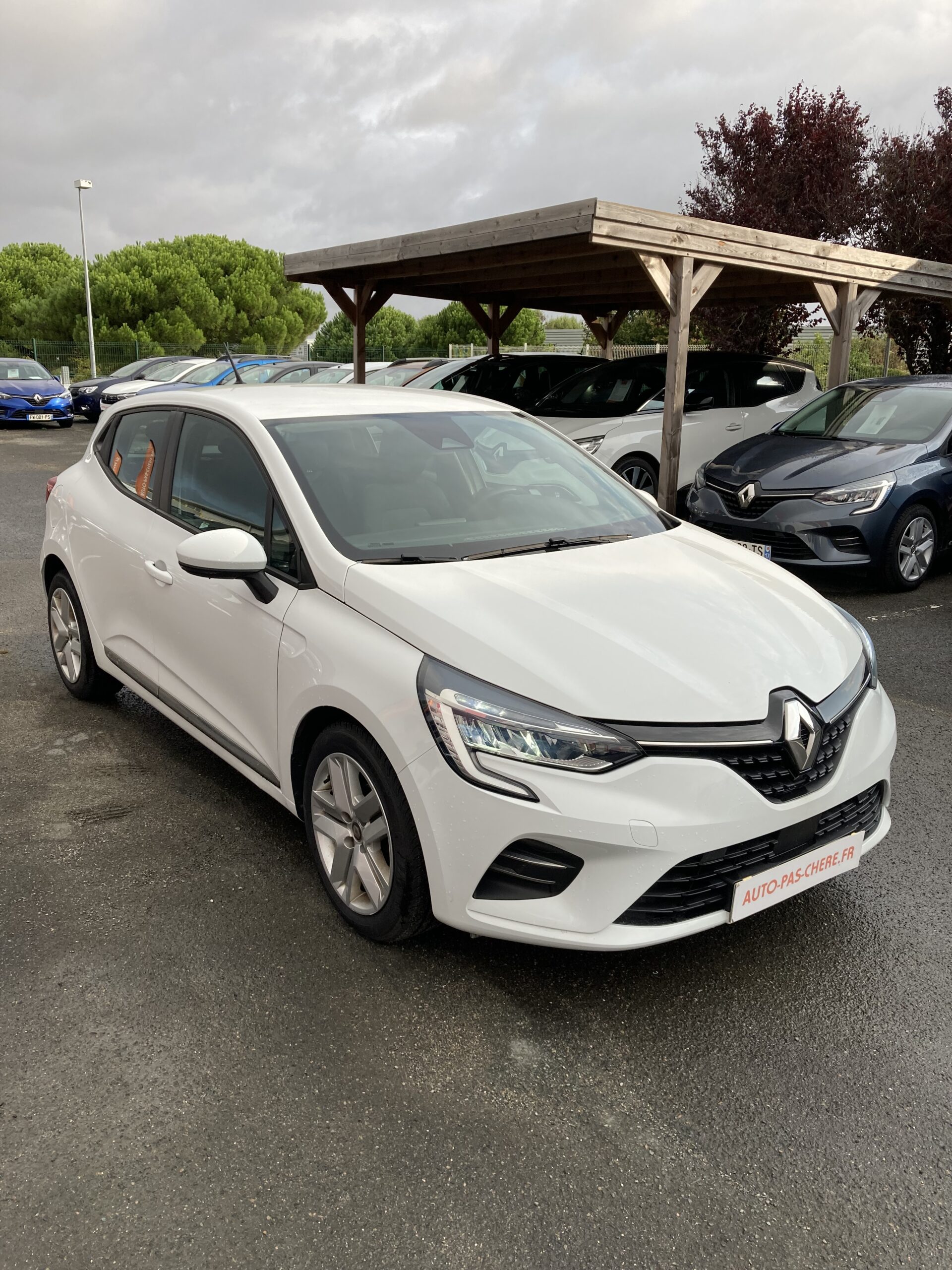 RENAULT CLIO V TCE 100 BUSINESS