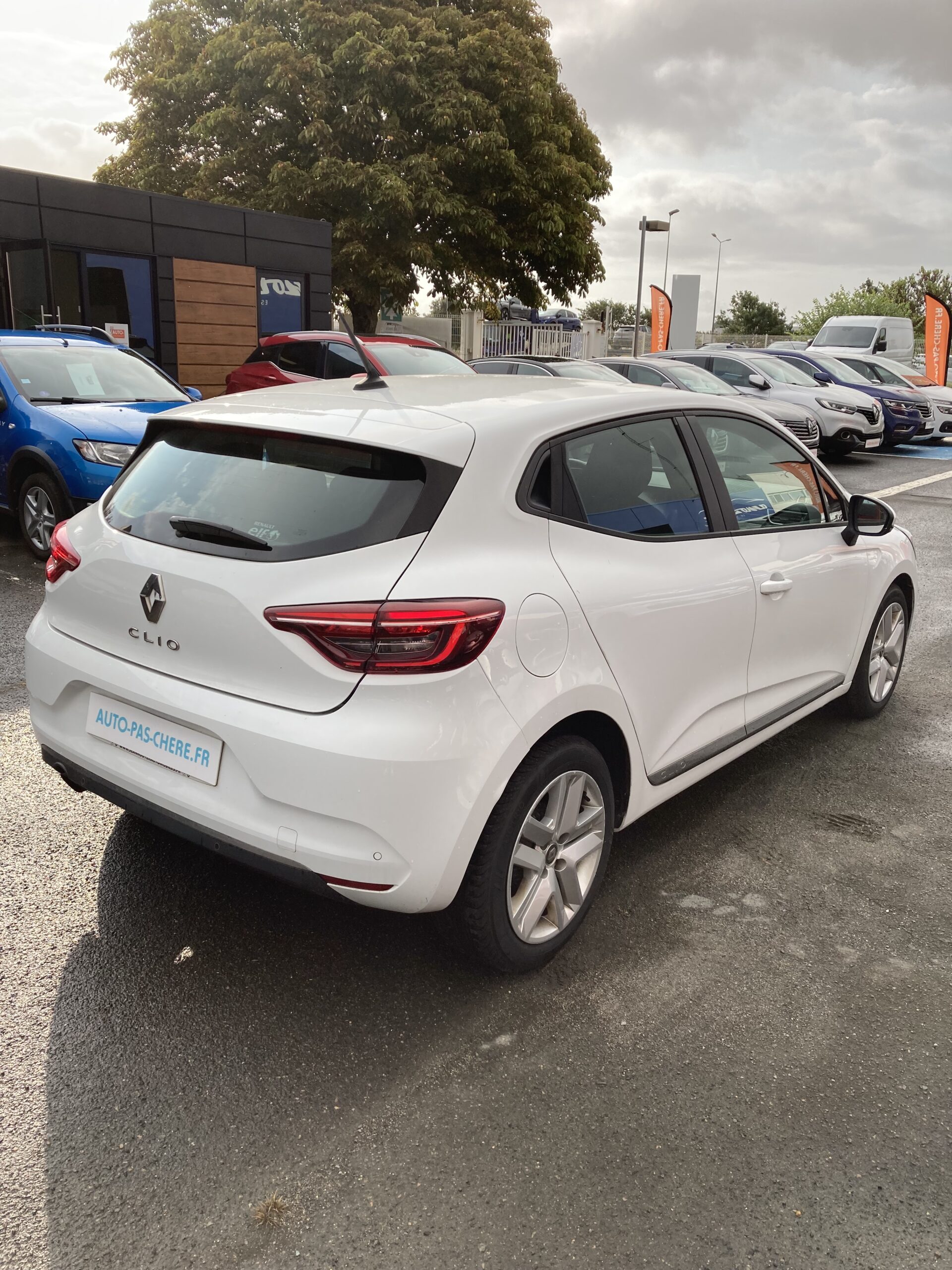 RENAULT CLIO V TCE 100 BUSINESS